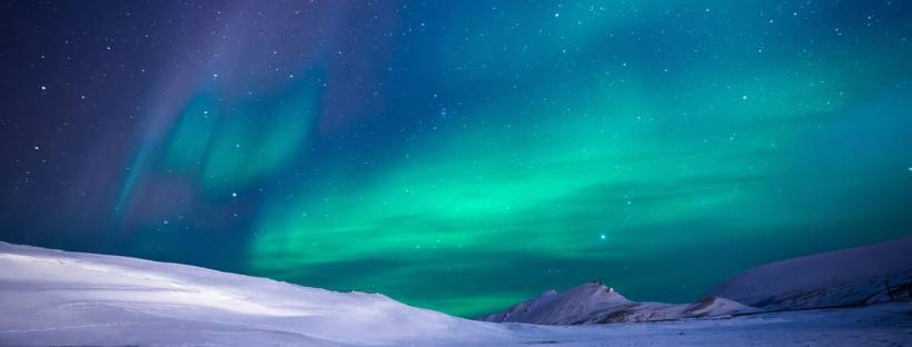 Snow Mountains Christmas Story Martha the Fox